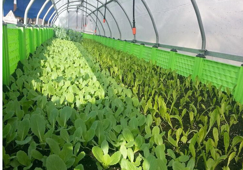 ��ʲôҪ��������|��������|��ʲô����